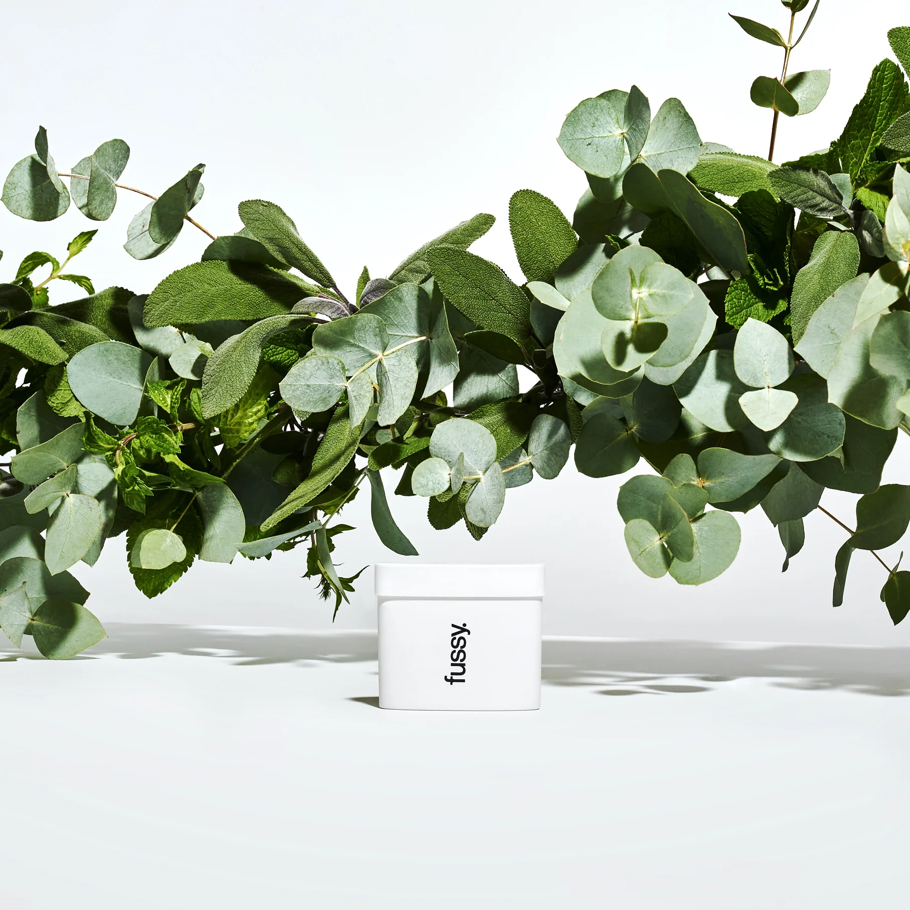 Refills - Image 15